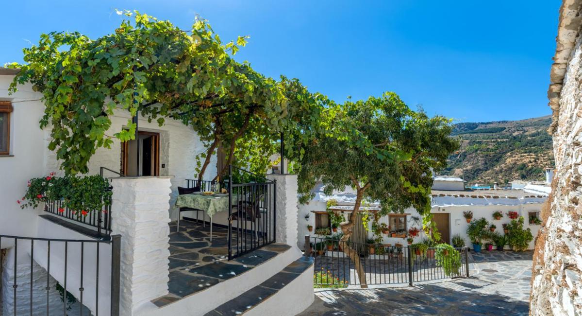 Casa Antonia Capileira La Alpujarra Lejlighed Eksteriør billede
