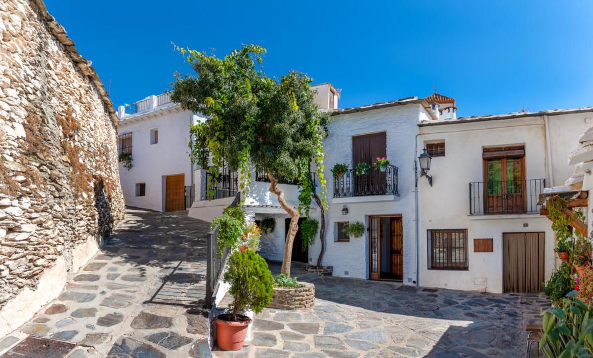 Casa Antonia Capileira La Alpujarra Lejlighed Eksteriør billede